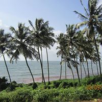 Jyothi Chander Photo 4