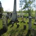 Lawrence Norton Photo 13