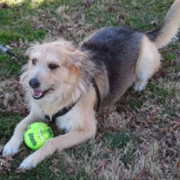 Wendy Alexander Photo 48