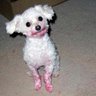 Carolyn Kincaid Photo 15