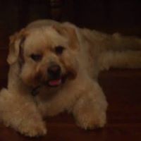Geraldine Patrick Photo 5
