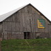 Thomas Maple Photo 21
