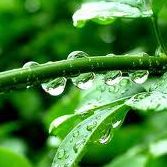 Lavanya Krishnamurthy Photo 15