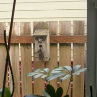 Julie Whitmore Photo 7