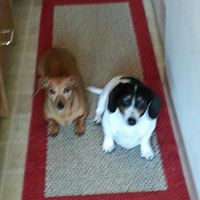 Tonya Franks Photo 16