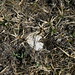 Stephen Rutherford Photo 37