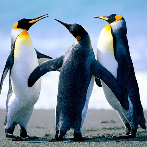 Rachael Jaffe Photo 2