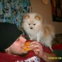John Steinmetz Photo 48