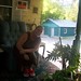 Vickie Plant Photo 7