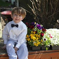 Ken Stevenson Photo 15