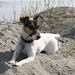 Gussie Brown Photo 14