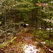 Debbie Sullivan Photo 12