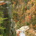 James Dortch Photo 10