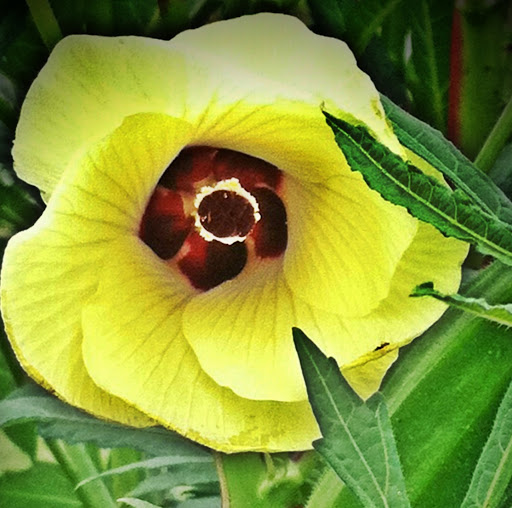 Terry Wheeler Photo 2
