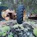 Moses Ford Photo 12