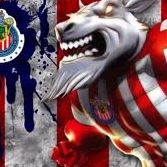 Artemio Torres Photo 5