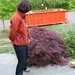Teresa Maple Photo 9