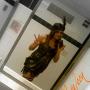 Rosemary Ramirez Photo 18