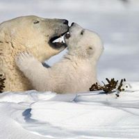 Patty Winters Photo 9