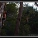 Rick Phillips Photo 26