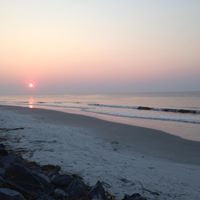 Jeanna Cook Photo 9