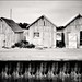 William Graham Photo 33
