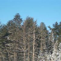 Marie Robillard Photo 4