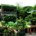 Yuan Chang Photo 30