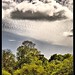 Roger Gibbs Photo 48