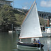 Hal Colvin Photo 6