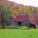 Virginia Love Photo 12