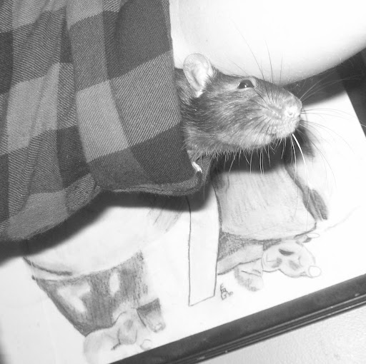 Gerald Floyd Photo 39