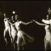 Paul Troupe Photo 8