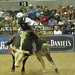 Shane Proctor Photo 41