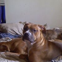 Terry Loveless Photo 12