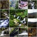 Richard Shuler Photo 20