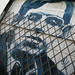 Stephen Graf Photo 22