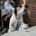 Jack Groves Photo 9