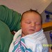 Michael Madigan Photo 36