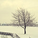 Kelly Snow Photo 34