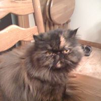 Jeanette Crawford Photo 13