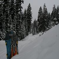 Adam Fishwild Photo 2