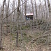 Kay Woods Photo 13