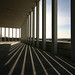 David Shade Photo 7
