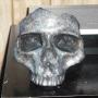 Andrew Bones Photo 14