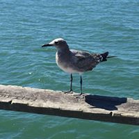 Arlene Andersen Photo 19