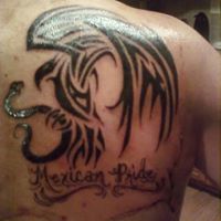 Ramon Gallegos Photo 16