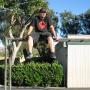 David Mckay Photo 29
