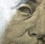 Edward Greene Photo 14