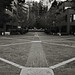 Lawrence Strauss Photo 26